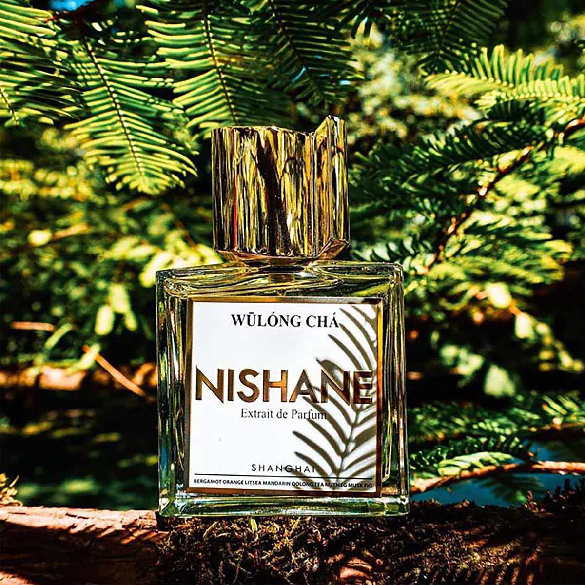 Wulong Cha Nishane