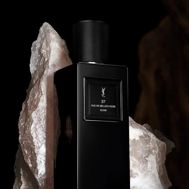 37 rue de Bellechasse Yves Saint Laurent