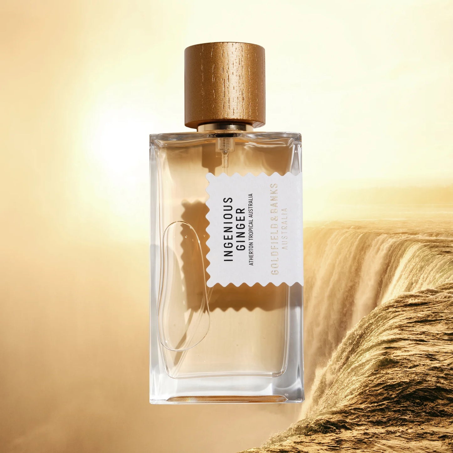 Ingenious Ginger Goldfield & Banks