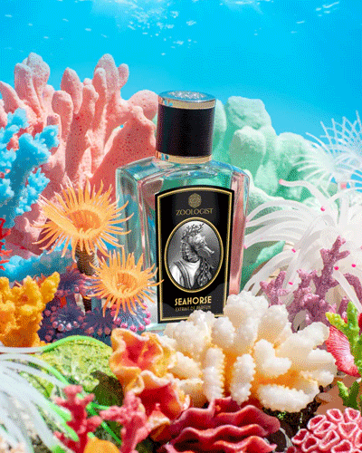 Seahorse Zoologist Perfumes