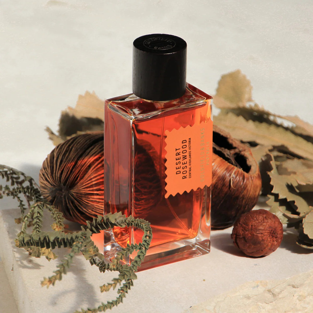 Desert Rosewood Goldfield & Banks Australia